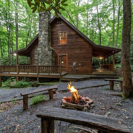 Creekside Bunkhouse Villa Whittier Buitenkant foto